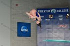 Diving vs Babson  Wheaton College Diving vs Babson College. - Photo By: KEITH NORDSTROM : Wheaton, Diving